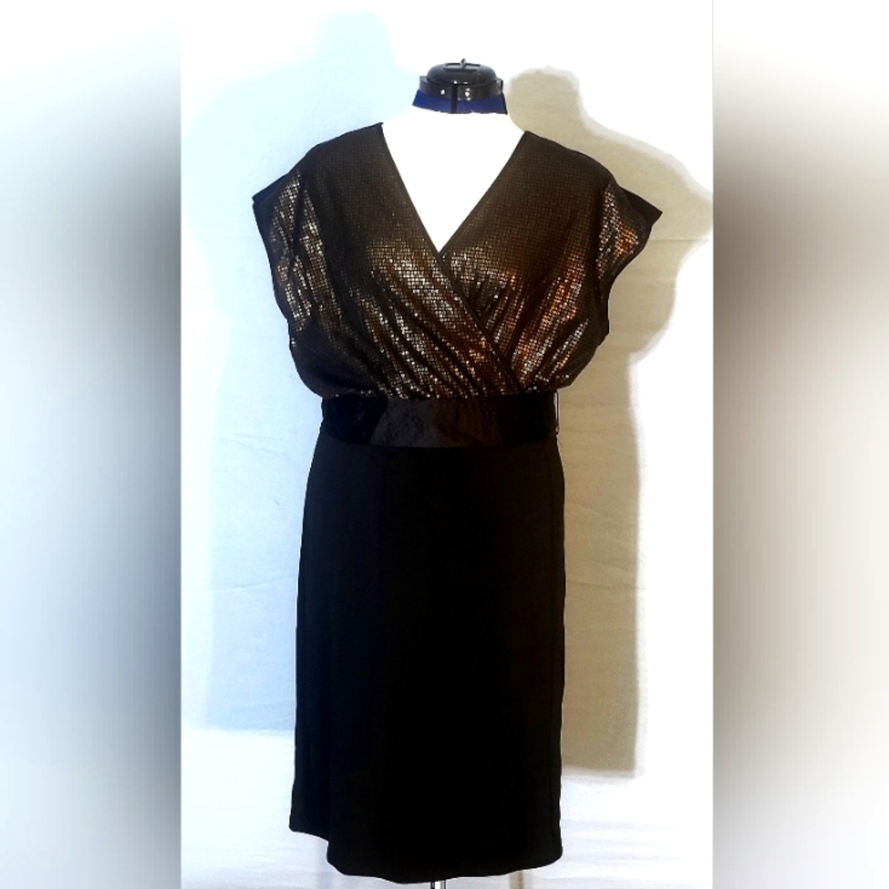 Narcisco Rodriguez dress